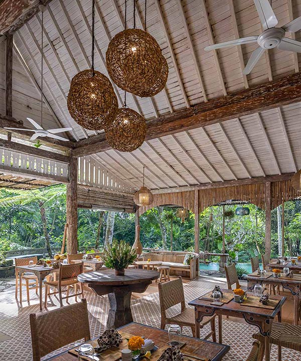 Jack Fruit Restaurant